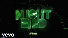 DJ Snake - Nightbird (Official Visualizer)