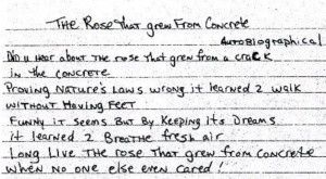 The Rose That Grew From Concrete by Tupac Shakur https://t.co/VCW5MRTlgB